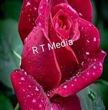 R T Media