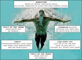 Michael phelps personal life • in 2016, he married nicole johnson after dating her for five years. Bbc Sport Olympics Blog Blog