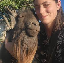 Just wanted to share the Bob White Quail barn we built from pallets. 🥰  Just some ideas for cheap barns! We have about $600 invested in the whole  thing, 15x20. We got