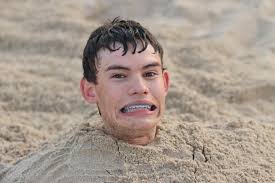 Area 11: 2025 Sarcoxie FFA Scrapbook by Monti West Design