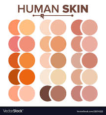 Skin Human Various Body Tones Chart