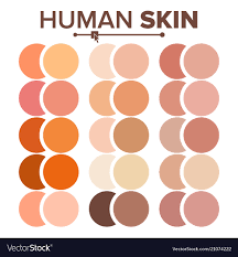 skin human various body tones chart