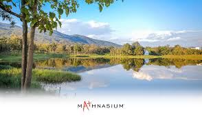 Image result for reflection