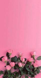 Pin On Flower Wallpapers