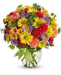 Send flowers to elgin in a snap. South Elgin Florist South Elgin Il Same Day Flower Delivery Paragon Flowers