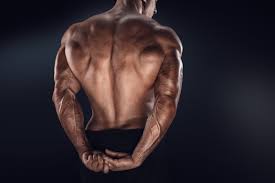 Steve reeves, brian buchanan and arnold schwarzenegger V Taper Workout How To Build A Commanding V Shaped Physique Ignore Limits