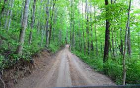 Hatfield Mccoy Trails Offers Mud Moonshine Unique Experiences Features Entertainment Herald Dispatch Com