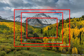 Image result for crop factor