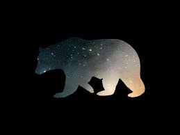 Only the best hd background pictures. Bear Wallpaper Phone Black And White 1600x1200 Wallpaper Teahub Io