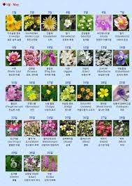 The october birth flowers are marigolds and cosmos. ë¯¼ë¯¼ On Twitter May August Korean Birth Flower