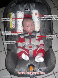 Pin On Infant Cat Seat Guide