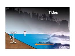Noaa Ocean Explorer Education Multimedia Discovery Missions Lesson 10 Tides Accurate measurements of ocean surface topography are important for studying ocean tides, circulation and the amount of heat the ocean holds. noaa ocean explorer education