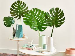 16h x 3w x 9.75d; The Best Faux Monstera Leaf Decor Apartment Therapy