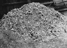 حكاوى بالصور ماذا فعل هتلر في اليهود