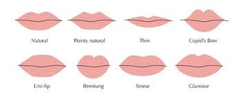 Lip Shape Guide In 2019 Types Of Lips Shape Lip Types