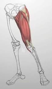 Resultado de imagen para lois greenfield
