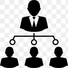 Organizational Chart Hierarchical Organization