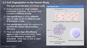Get chapter notes for cbse class 9 science, chapter 2: Form 1 Tingkatan 1 Science Pt3 Chapter 02 Cell As A Unit Of Life Youtube