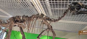 仙台市科学館の特別展「恐竜最前線2024～奇跡の恐竜カムイサウルス～」に行ってきました。（2024年8月） | とかとか。