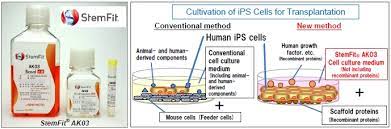 We did not find results for: Ajinomoto Co Develops Stemfit R Ak03 Culture Medium For Ips Cells With A Higher Level Of Safety Application In The World S First Ips Derived Regenerative Medicine