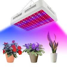 Best led grow lights for 2021. Lampwin 300w Plant Lamp Full Spectrum Growing Lamps Including Uv Ir Led Grow Light Vegetable Flower Indoor Plant Lamp Uk Led Grow Lights Aliexpress