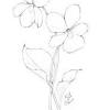 30 small daisy tattoo design ideas with meanings. Https Encrypted Tbn0 Gstatic Com Images Q Tbn And9gcra9ajwtpme8ozthlchherczzrrsd5soa3gfdwlersp8vhzsz R Usqp Cau