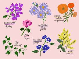 Перевод слова flower, американское и британское произношение, транскрипция, словосочетания, однокоренные слова, примеры использования. The Language Of Flowers Life Frankie Magazine Australian Fashion Magazine Online