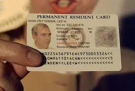 For example, you might make a copy of your driver's license or state photo id. Lost My Green Card And Can T Afford A New One New York Daily News
