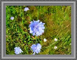 Image result for fotosketcher