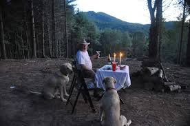 Steve Willingham Obituary December 30, 2023