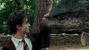 Pin On Harry Potter Pelis