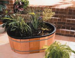Beyond mere aesthetics, a water garden has its. Planting A Small Water Garden