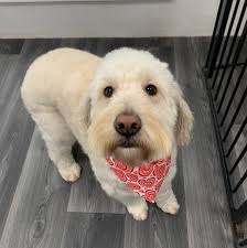 Katie's Pretty Paws‎‏ کی پروفائل‎