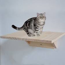 wandmontage kat klimrek boom massief hout kat springen platform muur diy huisdier meubels kitten springplank verschil cat climbing frame pet furniture wood cat