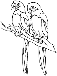 Parakeet coloring pages provided for. Free Printable Parrot Coloring Pages For Kids