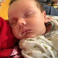 The emails we have for Tricia Ayers, Kevan Decell, and Garth Ezell have  bounced. Anyone have contact info for these classmates?