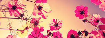Download 15 Awesome Facebook Cover Photo For Girls