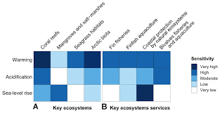 Advanced climate solutions are your local air conditioning experts, providing affordable aircon services brisbane wide, including ac installations, repairs, and maintenance. Frontiers Ocean Solutions To Address Climate Change And Its Effects On Marine Ecosystems Marine Science