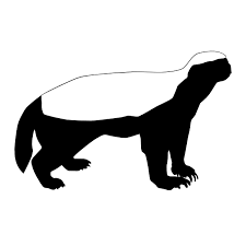 Maybe you would like to learn more about one of these? Honey Badger Clip Art Shefalitayal