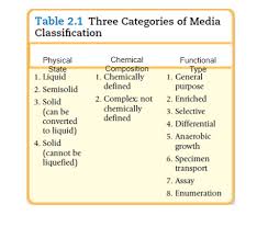 Ch 2 Homework Flashcards Quizlet