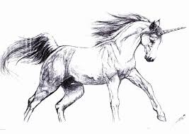 This page is about sketsa gambar unicorn,contains sketsa gambar kuda unicorn,sketsa unicorn berwarna,30+ galeri sketsa unicorn terkeren,120 sketsa gambar pemandangan alam. Terbaru 20 Gambar Kepala Unicorn