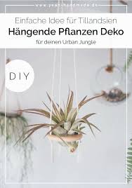 Diy Hangende Pflanzen Deko Mit Tillandsien Selber Machen Yeah Handmade Hangende Pflanzen Pflanzen Pflanzideen