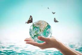 What Is An Ecosystem? Structure, Types, Importance And Function Of Ecosystem  - Conserve Energy Future