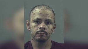 Fleeing vehicle travels wrong way