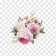 Pink Flowers Rose Color Hd Hand Painted Watercolor Roses Pink And White Roses Free Png Purple Flowers Wallpaper Pink Floral Painting Flower Illustration