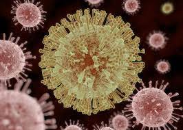 Malaria is a disease that is transmitted from person to person by infected mosquitoes. Anti Malaria Drug Shows Promise As Zika Virus Treatment