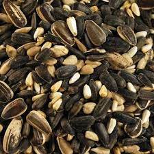 Wild Bird Food Panosundaki Pin