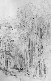 Thickets Ivan Shishkin Wikiart Org Landscape Sketch Nature Sketch Advanced Higher Art