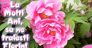 La Multi Ani Florin Flowers Birthdays Rose