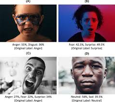 Training Affective Computer Vision Models by Crowdsourcing Soft-Target  Labels